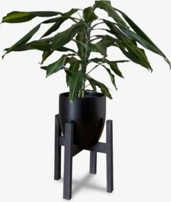 Plantenstandaard Binnen - Diameter Tot 24 Cm - Plantenkruk - Bloempotten Voor Binnen - Plantentafeltje Voor Binnen - Bloempot Standaard | Plantenstandaard - Hout - Mat Zwart