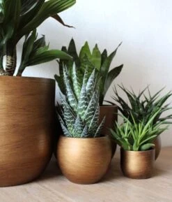 Capi Europe - Bloempot Bol Retro XL - 42x41 - Goud - Bloempot Voor Binnen - Opening ⌀36 - RTG933 -Buitentuin Winkel 1024x1200 6