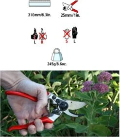 Felco 2 + GRATIS Felco Handschoenen In Cadeauverpakking -Buitentuin Winkel 1056x1200 1