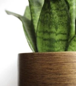 Capi Europe - Bloempot Bol Retro XL - 42x41 - Goud - Bloempot Voor Binnen - Opening ⌀36 - RTG933 -Buitentuin Winkel 1061x1200 7