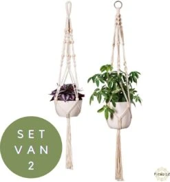 Plantenhanger - Plantenhanger Macrame - Set Van 2 - Wit - Knopen - Luxe Gevlochten Touw - Met Ophang Haken - Fienosa 13 Plantenhanger - Plantenhanger Macrame - Set Van 2 - Wit - Knopen - Luxe Gevlochten Touw - Met Ophang Haken - Fienosa -Buitentuin Winkel 1118x1200 7