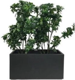Elho Vivo Matt Finish Lang Wielen 90 - Grote Staande Plantenbak Voor Binnen & Buiten - Gemaakt Van Gereycled Plastic - L 39 X W 88 X H 41 Cm - Zwart -Buitentuin Winkel 1124x1200 6