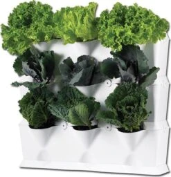 Minigarden Vertical Verticale Tuin - Wit -Buitentuin Winkel 1157x1200 4
