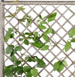 Casaria Polyrattan Bloembak – 3 Bakken Klimophek - Crème -Buitentuin Winkel 1163x1200 5