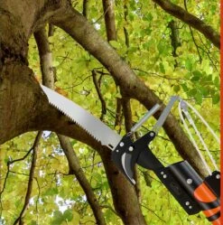 Gardebruk Takkenzaag Telescopisch - 2in1 Zaag & Snoeischaar - Oranje 29 Gardebruk Takkenzaag Telescopisch - 2in1 Zaag & Snoeischaar - Oranje -Buitentuin Winkel 1189x1200 6
