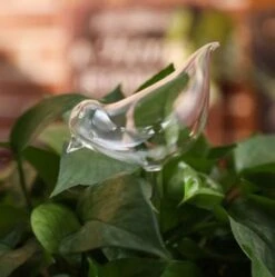 Waterdruppelaar Planten - Vorm Vogel - Set Van 3 Kunststof Druppelaars - 25cm Lengte - Genoeg Water Tijdens Je Vakantie -Buitentuin Winkel 1190x1200 7