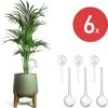 Merkloos JADI - Druppelsysteem - Waterdruppelaar Voor Uw Planten - Set Van 6 Stuks - 3 Grote & 3 Kleine - Transparante Waterbollen -Buitentuin Winkel 1198x1200 23