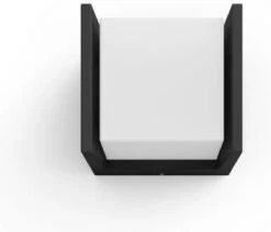 Philips Hue Fuzo Muurlamp - Warmwit Licht - Zwart - Smal - Open -Buitentuin Winkel 1200x1032 7