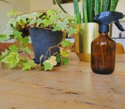 24DOTS Living Plantenspuit | 300 Ml Bruin Amber Glas | Plantensproeier | Plantenspuit Binnen | Waterverstuiver | Vernevelaar -Buitentuin Winkel 1200x1051 1