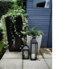 Prestige Manhattan 100L Regenton Zwart (incl. Kraantje) -Buitentuin Winkel 1200x1083 6