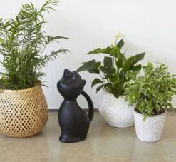 Balvi Meow! Kat Gieter - Zwart -Buitentuin Winkel 1200x1103 5