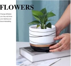 Bloempotten Binnen - Keramiek - Gouden Rand - Bloempot Buiten - Afvoergat 24 Cm - Wit Zwart – Groot -Buitentuin Winkel 1200x1118 8