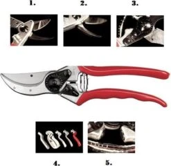 Felco 2 Snoeischaar - Rechtshandig - Max. Knipdiameter 25 Mm - Lengte 215 Mm 20 Felco 2 Snoeischaar - Rechtshandig - Max. Knipdiameter 25 Mm - Lengte 215 Mm -Buitentuin Winkel 1200x1168 3