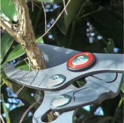 WOLF-Garten Takkenschaar POWER CUT RR*** 900 T - Lengte 650-900mm - Telescoop - Aluminium Hefboomarmen - 4x Meer Kracht - Messpanning Instelbaar -Buitentuin Winkel 1200x1194 5