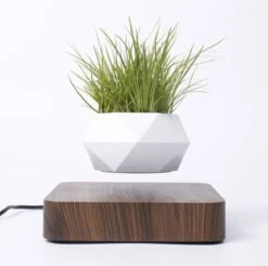 Floatey Design Plant | Zwevende Plant - Bloempot (levitation) -Buitentuin Winkel 1200x1196 13