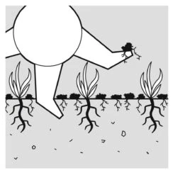 GARDENA EVC 1000 Verticuteermachine - Werkbreedte 30 Cm - Werkgebied 600m2 -Buitentuin Winkel 1200x1200 1280