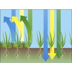 GARDENA EVC 1000 Verticuteermachine - Werkbreedte 30 Cm - Werkgebied 600m2 -Buitentuin Winkel 1200x1200 1281