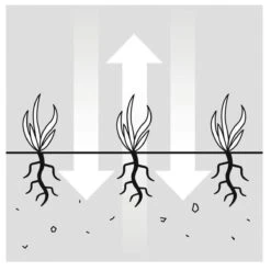 GARDENA EVC 1000 Verticuteermachine - Werkbreedte 30 Cm - Werkgebied 600m2 -Buitentuin Winkel 1200x1200 1282