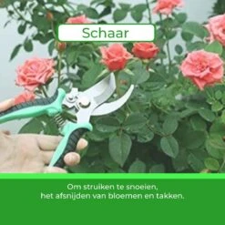 Djambo Tuingereedschap Set 8-delig Tuinsetje Met 15 Unieke Bamboe Plantetiketten In 1 Draagtas - Compleet Tuingereedschap Voor De Tuinliefhebbers -Buitentuin Winkel 1200x1200 1763
