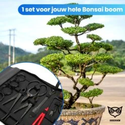 Good2know Bonsai Gereedschap Set – 16 Delig – Bonsai Starters Kit – Bonsai Boompje Verzorgingskit - Tuingereedschap -Buitentuin Winkel 1200x1200 1767