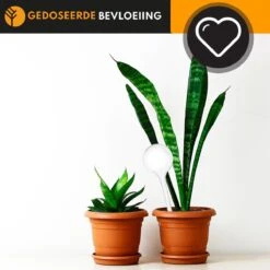 Waterdruppelaar Set Van 6 Stuks Voor Planten Transparant – 27 CM – Automatisch Watergeefsysteem Voor Kamerplanten – Planten Watergever Met Druppelsysteem – Waterbol -Buitentuin Winkel 1200x1200 1884