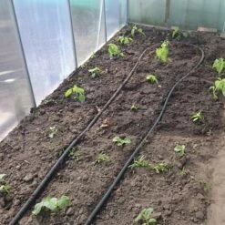 Druppelslang Actiepakket 100 Meter - Leidingshop -Buitentuin Winkel 1200x1200 1910