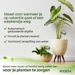 Waterdruppelaar Voor Planten - Irrigatiesysteem- Waterbol - Druppelsysteem - Watergeefsysteem Voor Kamerplanten - Plantenwatergever -6 Stuks - Transparant -Buitentuin Winkel 1200x1200 1913