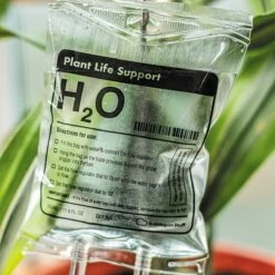 Woonaccessoires- Automatisch Watergeef Systeem | Plantenwaterer - Life Support Irrigatieapparaat | Druppelaar Kamerplanten - | Planten Watergever Met Druppelsysteem 350ml 20 Woonaccessoires- Automatisch Watergeef Systeem | Plantenwaterer - Life Support Irrigatieapparaat | Druppelaar Kamerplanten - | Planten Watergever Met Druppelsysteem 350ml -Buitentuin Winkel 1200x1200 1929