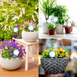 Druppelsysteem 12 Stuks Waterdruppelaar Voor Planten - Waterafgiftesysteem Voor 2 Weken - Beregening Voor Kamerplanten -Buitentuin Winkel 1200x1200 1941