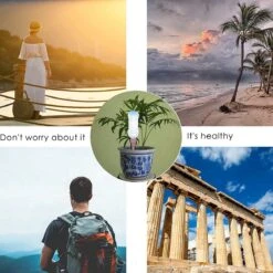 BOTC Waterdruppelaar Set Van 6 Stuks Voor Planten - Watergeefsysteem -Buitentuin Winkel 1200x1200 1948