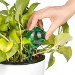 Merkloos Decopatent® 4 Stuks - Waterdruppelaar Voor Planten - Watergever - Glas - Waterbollen - Watergeefsysteem - Plantenbollen - Groen -Buitentuin Winkel 1200x1200 1952