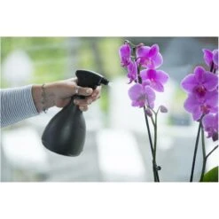 Merkloos Zwarte Plantenspuit 700 Ml - Tuinbenodigdheden - Waterverstuiver - Plantensproeiers/plantenspuiten 5 Merkloos Zwarte Plantenspuit 700 Ml - Tuinbenodigdheden - Waterverstuiver - Plantensproeiers/plantenspuiten -Buitentuin Winkel 1200x1200 2045