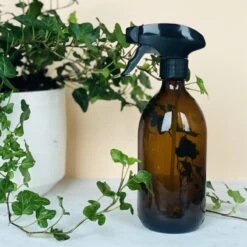 Groeikruid® Plantenspuit | 500 Ml Amber Glas | Met Zwarte Spraykop | Plantensproeier Binnen | Waterverstuiver | Verstuiver | Waterspuit -Buitentuin Winkel 1200x1200 2050