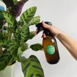 Groeikruid® Plantenspuit | 500 Ml Amber Glas | Met Zwarte Spraykop | Plantensproeier Binnen | Waterverstuiver | Verstuiver | Waterspuit -Buitentuin Winkel 1200x1200 2051