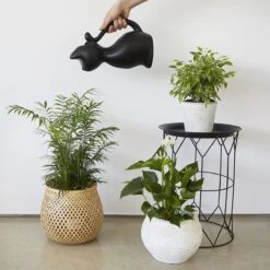 Balvi Meow! Kat Gieter - Zwart -Buitentuin Winkel 1200x1200 2161