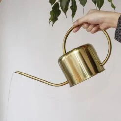 Kikkerland Vintage Gieter - Plantengieter Voor Binnen - Goud - 1,2L - Retro - Metaal -Buitentuin Winkel 1200x1200 2169