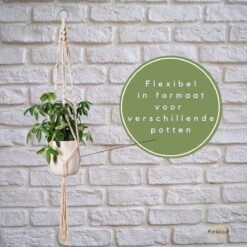 Plantenhanger - Plantenhanger Macrame - Set Van 2 - Wit - Knopen - Luxe Gevlochten Touw - Met Ophang Haken - Fienosa 11 Plantenhanger - Plantenhanger Macrame - Set Van 2 - Wit - Knopen - Luxe Gevlochten Touw - Met Ophang Haken - Fienosa -Buitentuin Winkel 1200x1200 2226