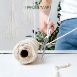 Gadgy Plantenhanger Macramé 3 Stuks - Luxe Gevlochten Touw Katoen - Plantenpot Ophangen - Hangpot -Buitentuin Winkel 1200x1200 2229