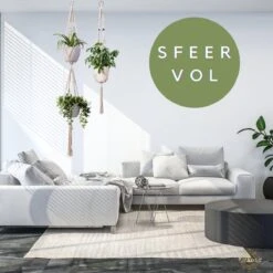 Plantenhanger Macrame Set Van 2 - Plantenhanger Met Ruimte Voor 3 Potten - Luxe Gevlochten Touw 100% Katoen - Duurzaam - Plantenbakken - Bloempotten - Macramé Stijl Hanger Voor Bloempotten - Hangpot - Fienosa -Buitentuin Winkel 1200x1200 2231