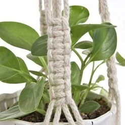 4 Stuks Plantenhangers - Boho Handgeweven Katoen Hangpot Voor Binnen/Buiten - Bloempot Met Kralen - Macramé Touw/Koord Hangplant Houder - Bohemian Wandhanger Decoratie - Verticale Tuin Plant Hanger Bloempothouder Planthanger Wit -Buitentuin Winkel 1200x1200 2237