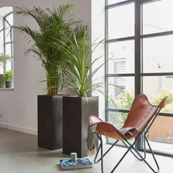 Capi Europe - Bloempot Rechthoek Smooth NL - 36x36x79 - Zwart - Voor Binnen En Buiten - KBL952 24 Capi Europe - Bloempot Rechthoek Smooth NL - 36x36x79 - Zwart - Voor Binnen En Buiten - KBL952 -Buitentuin Winkel 1200x1200 2252