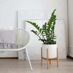 LifeGoods Planten Standaard - Uitschuifbare Bloempothouder - 20 Tot 30 Cm - Licht Bamboe -Buitentuin Winkel 1200x1200 2258