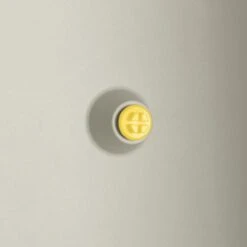 Elho Vivo Structure Finish Lang 90 - Plantenbak Voor Binnen & Buiten - Ø 88 X H 41 - Wit -Buitentuin Winkel 1200x1200 2279