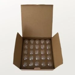 A Sunny Day Lichtsnoer Buiten Inclusief 25 LED Lampen Voor Buiten 7,5 Meter - Lichtsnoer Voor Buiten - 25 LED Lampen - Lichtslinger - Prikkabel - Lichtsnoer Binnen - Prikkabel Binnen - Lichtsnoer Tuin -Buitentuin Winkel 1200x1200 2390