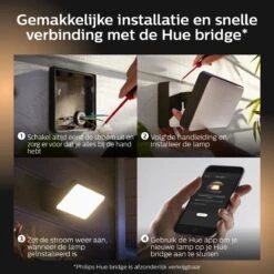 Philips Hue Discover Verstraler - Wit En Gekleurd Licht - Zwart -Buitentuin Winkel 1200x1200 2615