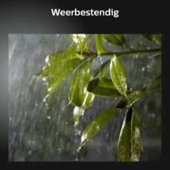 Philips Hue Discover Verstraler - Wit En Gekleurd Licht - Zwart -Buitentuin Winkel 1200x1200 2617