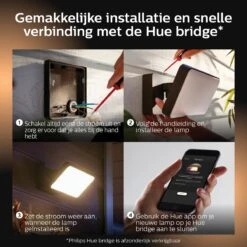 Philips Hue Outdoor Welcome Floodlight Schijnwerper - White - Zwart - 15W - IP44 -Buitentuin Winkel 1200x1200 2639