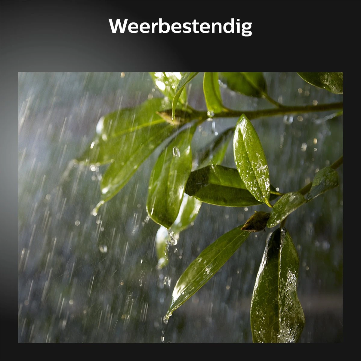 Philips Hue Lily Tuinspot - Wit En Gekleurd Licht - 1-spot - Zwart - Laagspanning - Basis 10 Philips Hue Lily Tuinspot - Wit En Gekleurd Licht - 1-spot - Zwart - Laagspanning - Basis - Afbeelding 8