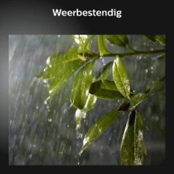 Philips Hue Lily Tuinspot Starterspakket - Prikspot White And Color Ambiance - Prikspots Voor Buiten - Tuinverlichting - 2 Spots - Zwart -Buitentuin Winkel 1200x1200 2846