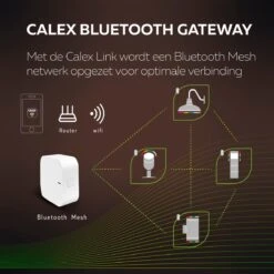 Calex Smart Outdoor LED Buitenlamp - Slimme Grondspot - Sokkellamp RGB En Warm Wit Licht- 4W - Zwart -Buitentuin Winkel 1200x1200 2901
